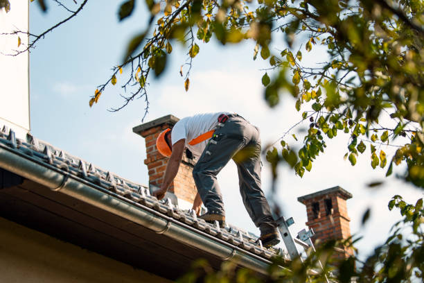 Best Storm Damage Roof Repair  in Pomona, NY